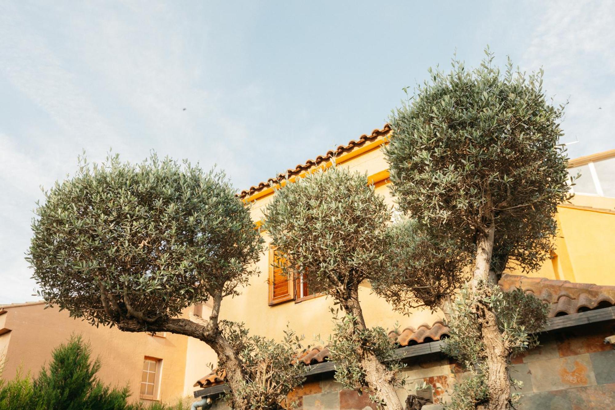 Chalet, Villa Rodeada De Naturaleza Piscina A Doce Klm De Valencia Y 7 Del Aeropuerto Zewnętrze zdjęcie